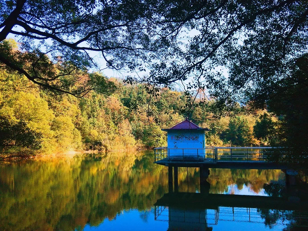 華漢旅中标廬山天花井項目，持續助推九江文旅發展